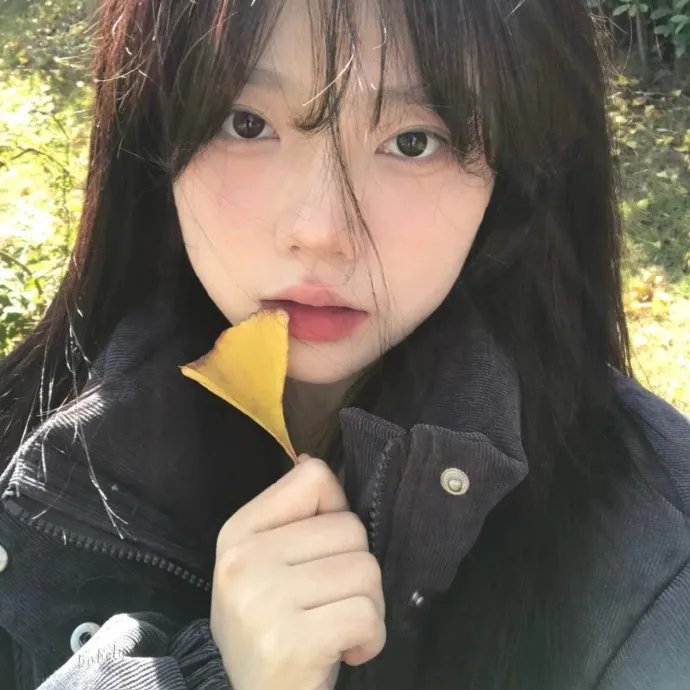乔伊2024