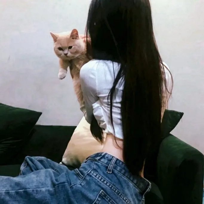 飞箭